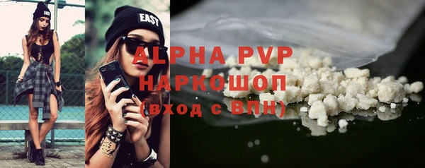 индика Нея