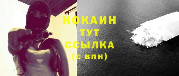 индика Нея