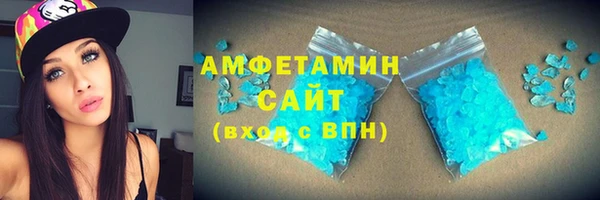 индика Нея