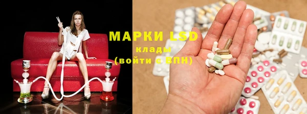 индика Нея