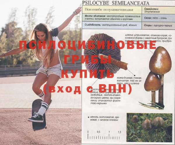 кокс Нефтекумск