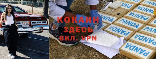 индика Нея