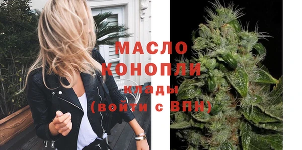 индика Нея