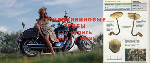 индика Нея