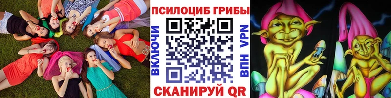 OMG ссылка  Томск  Псилоцибиновые грибы мухоморы 